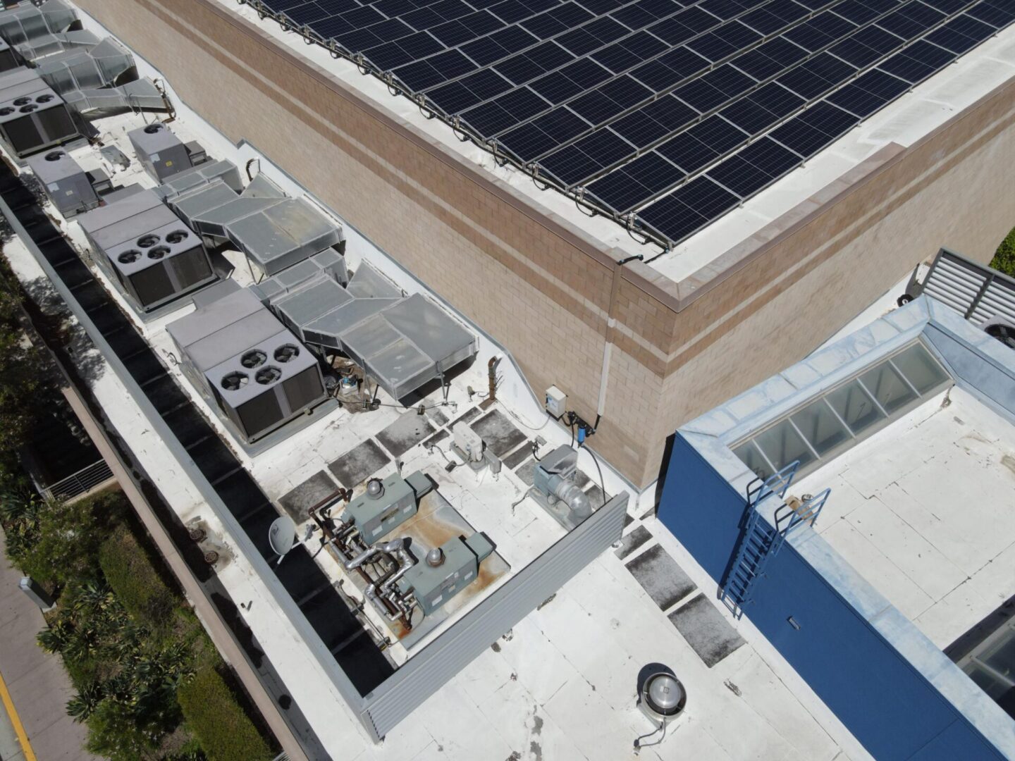 691eebd556f5b_painting downspout (4)