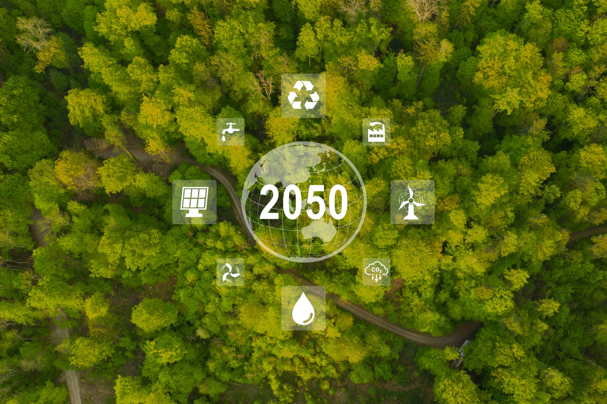 Green future concept with forest and icons