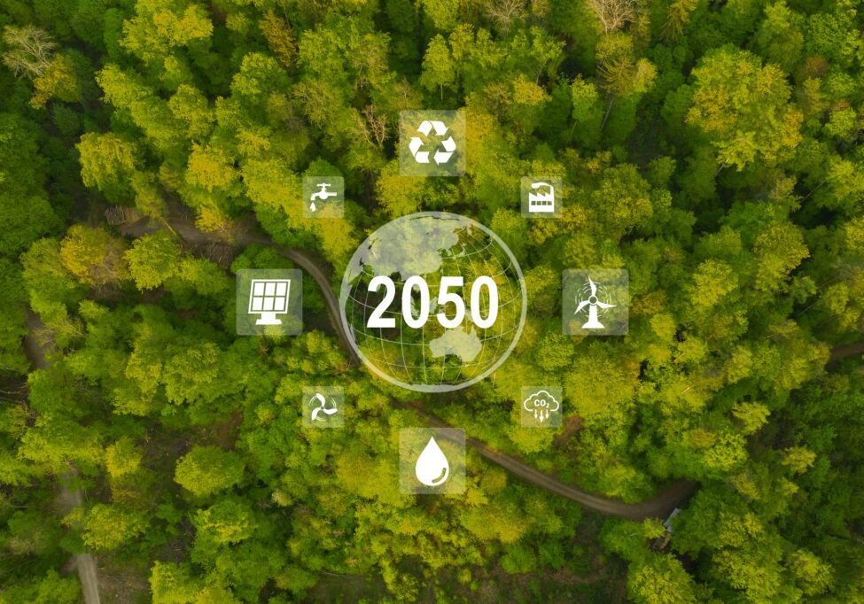 Green future concept with forest and icons