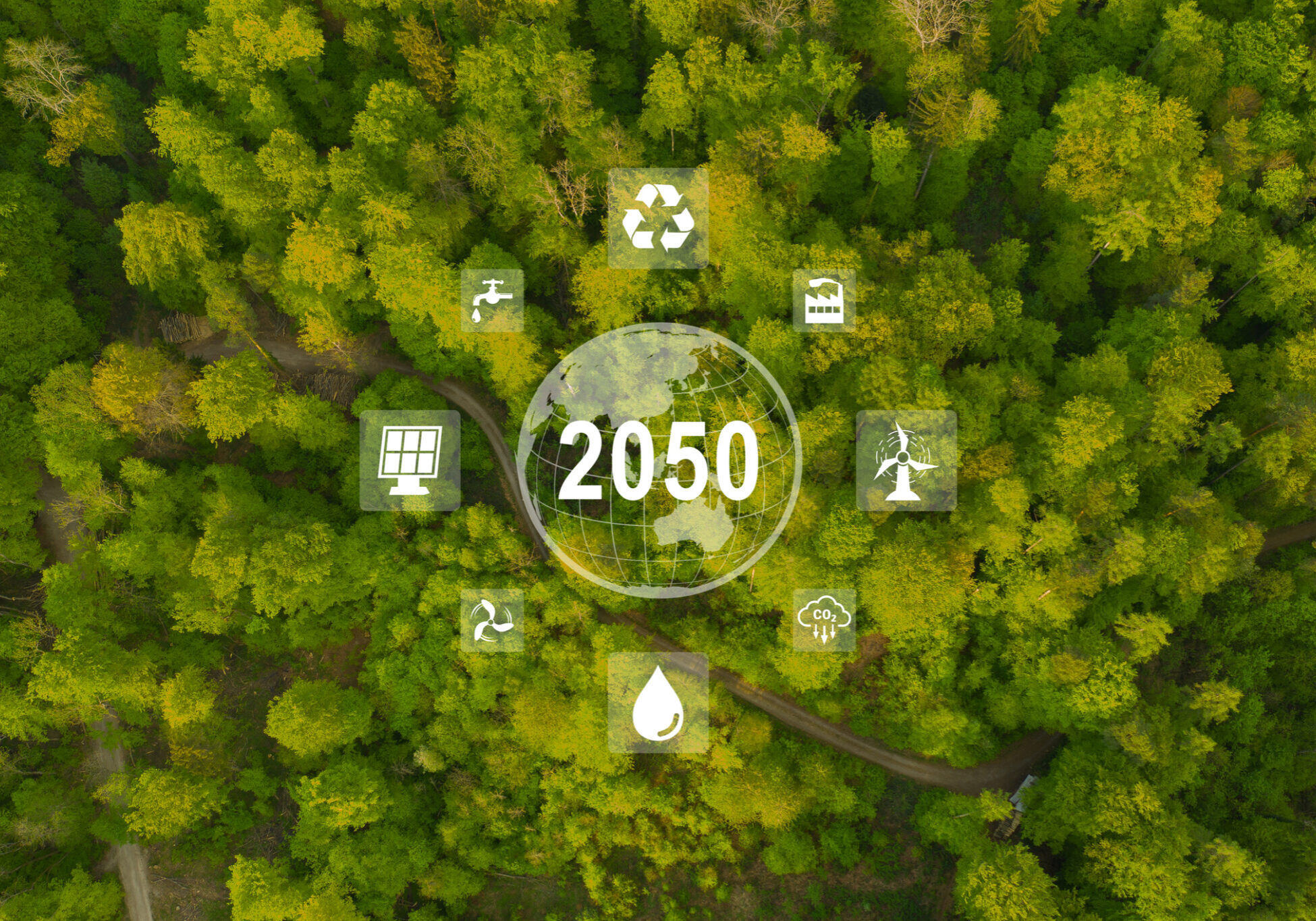 Green future concept with forest and icons