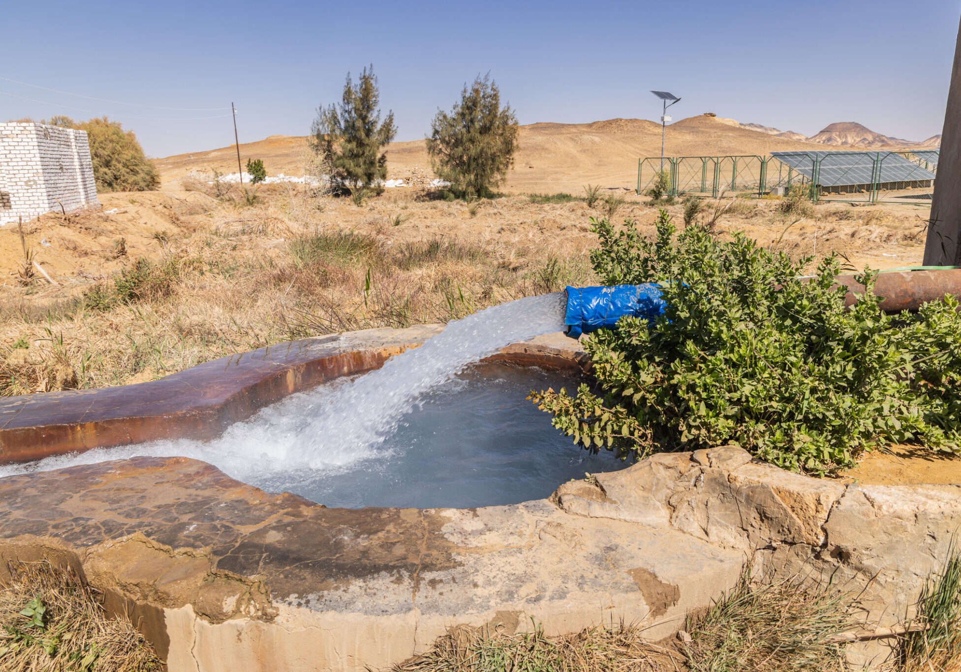 Desert landscape with water source and greenery